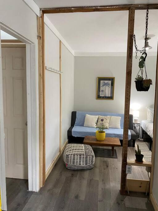 Studio Apt W Garden Kingston Kültér fotó