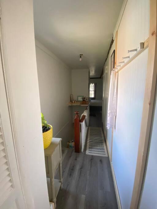 Studio Apt W Garden Kingston Kültér fotó