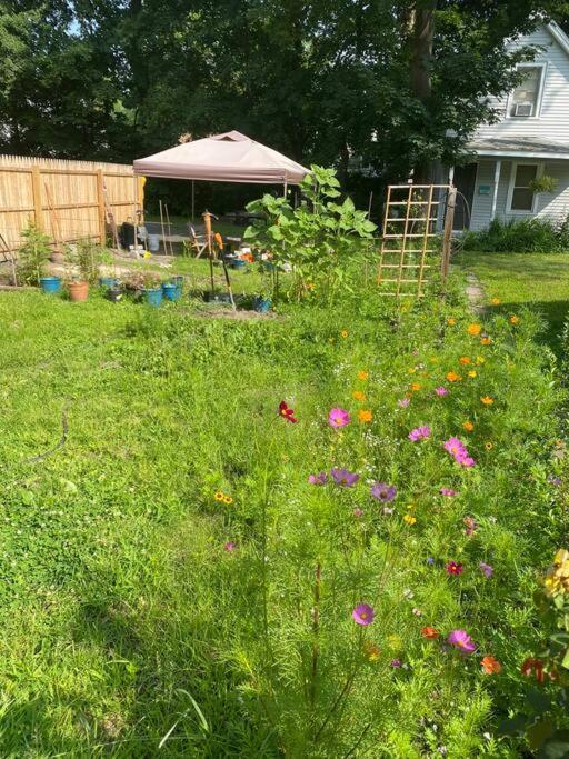 Studio Apt W Garden Kingston Kültér fotó